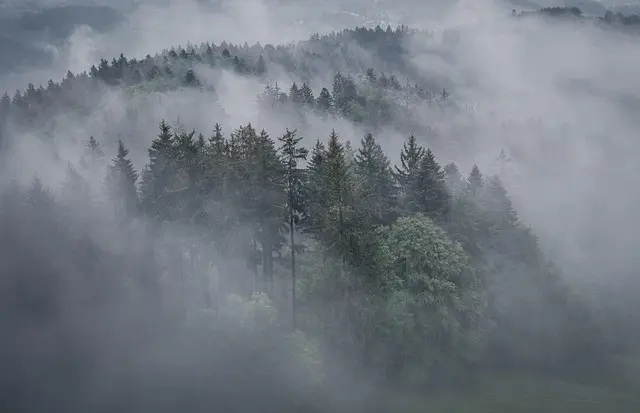 Best Drones for Aerial Photography