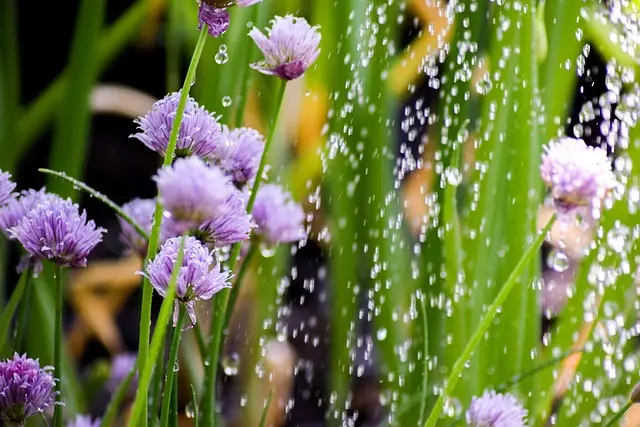 Ultimate Guide to Seasonal Home Maintenance