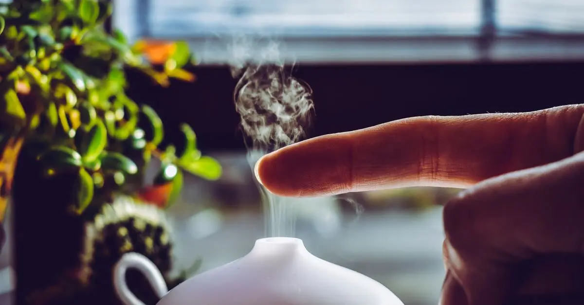 Guide d'achat des meilleurs diffuseurs d'huiles essentielles